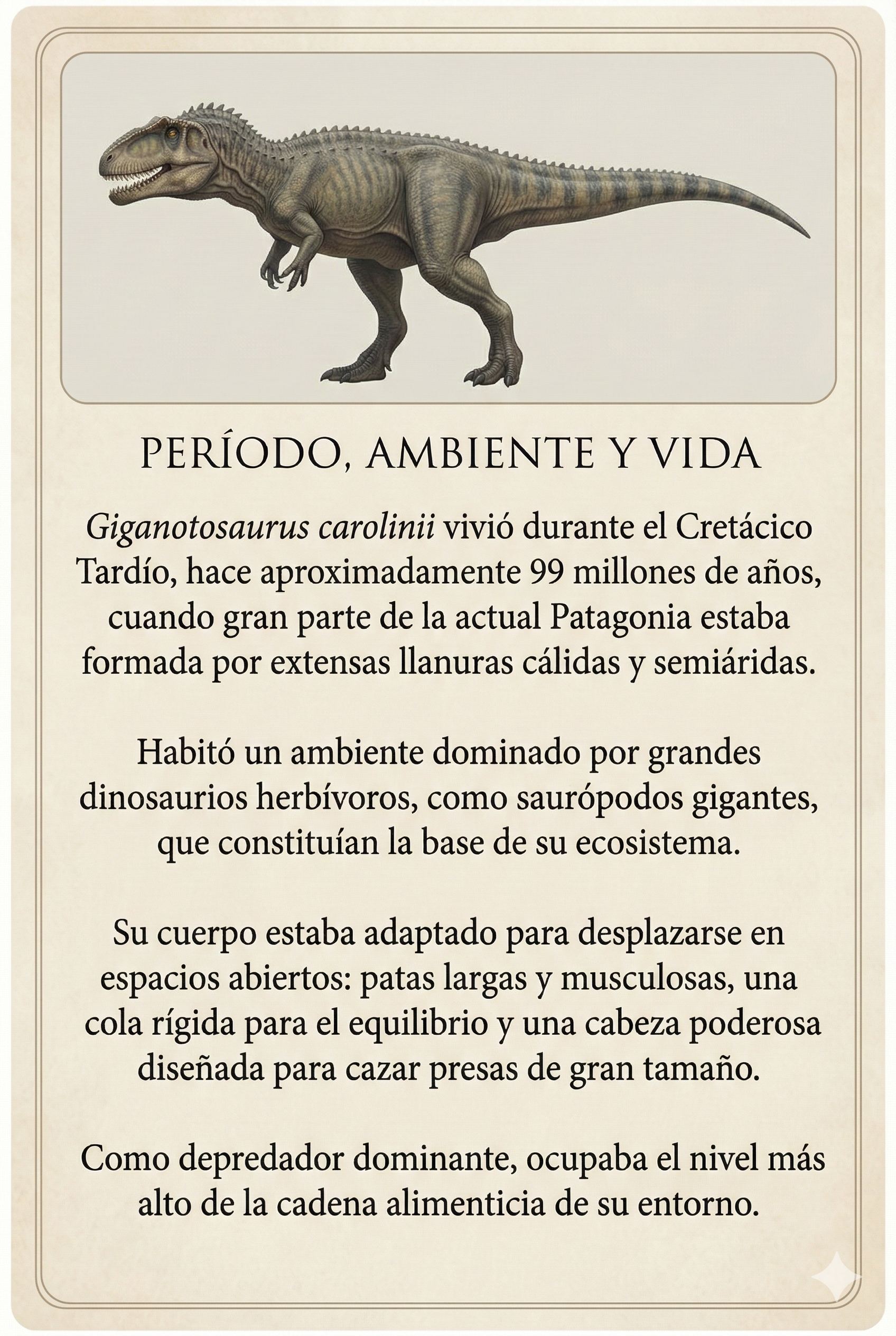 Período, Ambiente y Vida - información