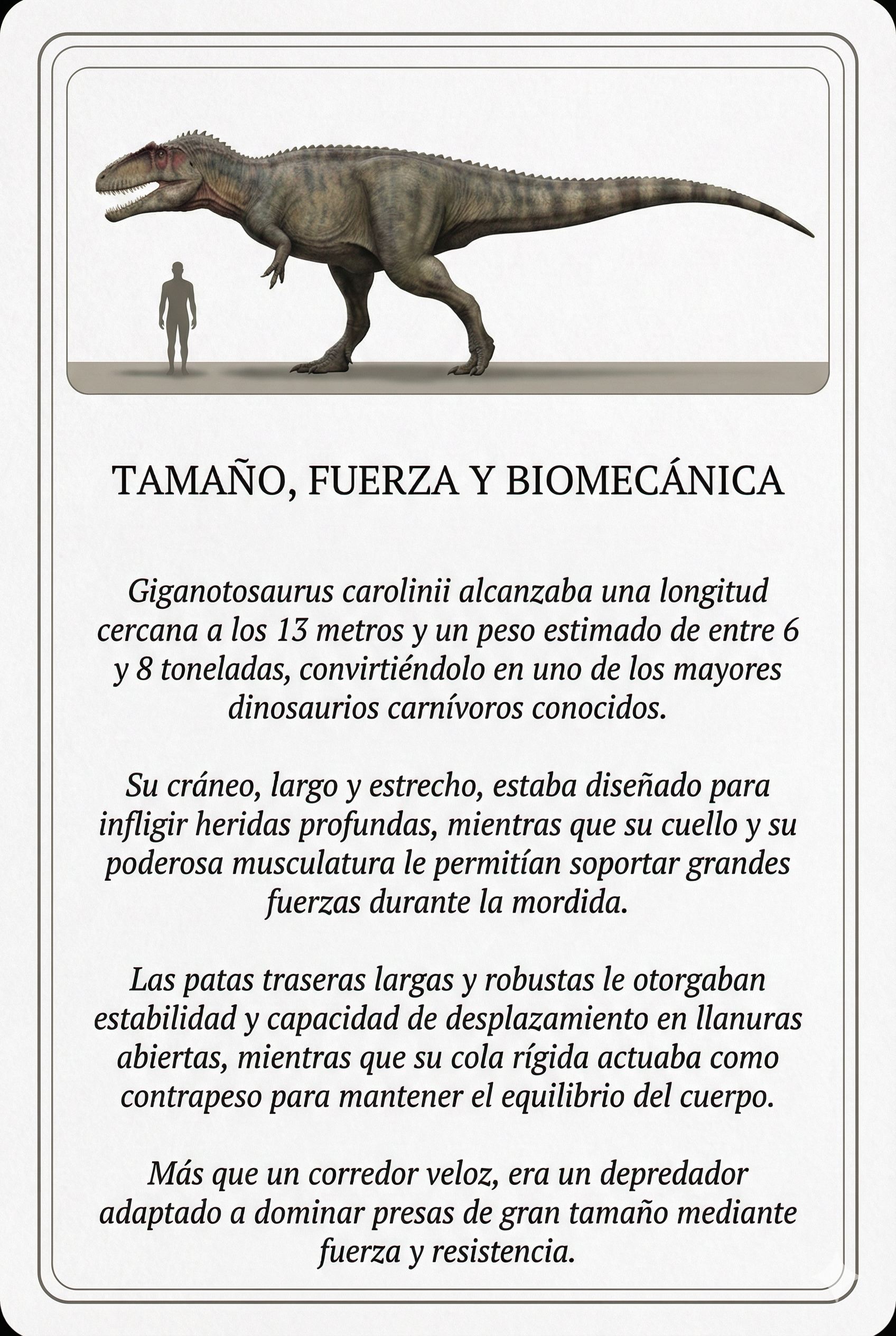 Tamaño, Fuerza y Biomecánica - información